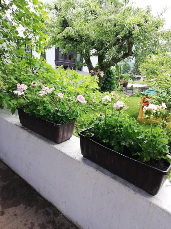 شقة Am Balkon Des Erzgebirges Bernsbach المظهر الخارجي الصورة